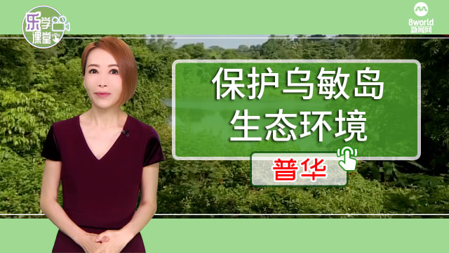 【普华】乌敏岛开设沿海林园