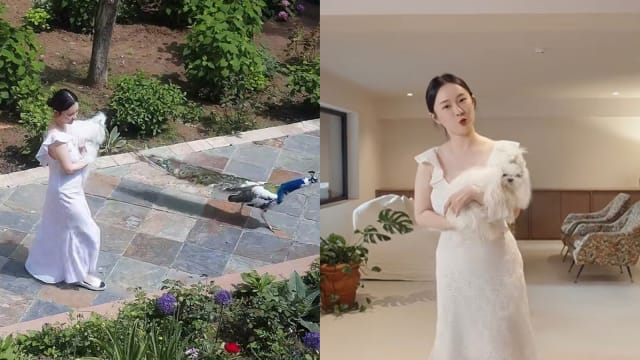 中国女星霍思燕开箱新家　豪宅大到可以养孔雀！
