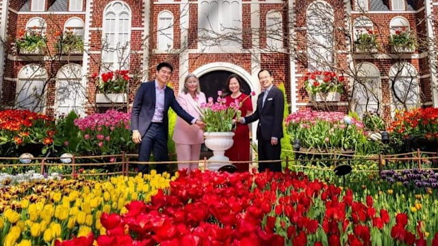 第12届梦幻郁金香展今登场 6万5000株郁金香供观赏