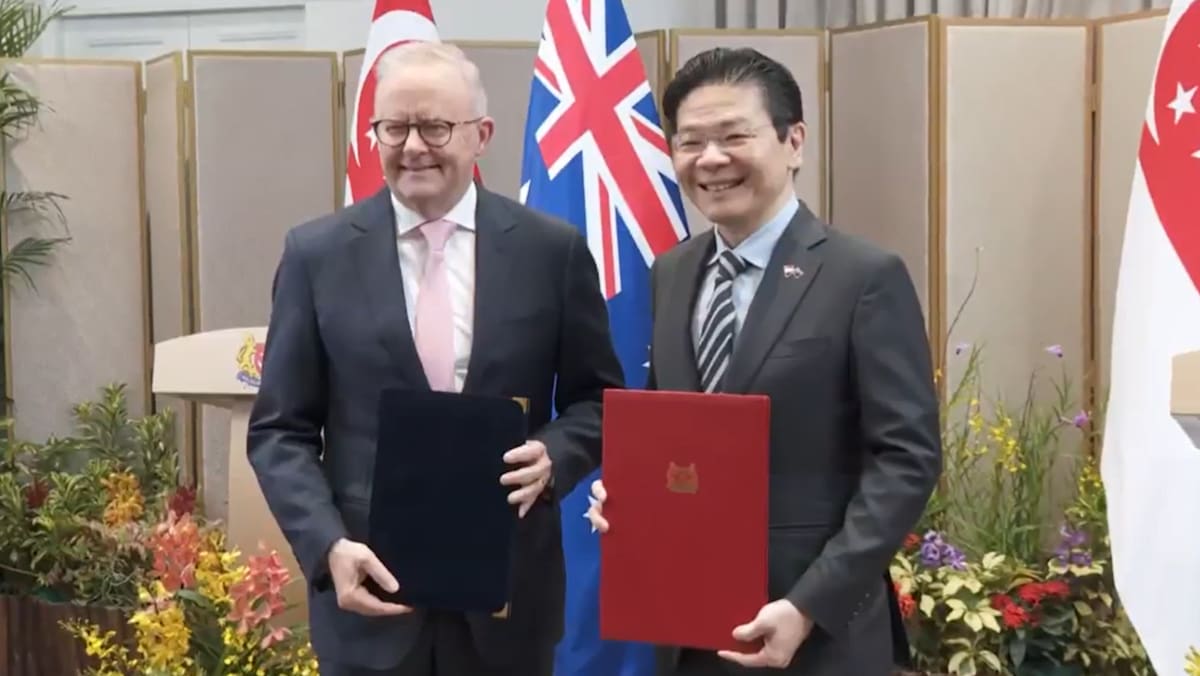 Singapore, Australia working towards legally binding protocol for essential supplies
