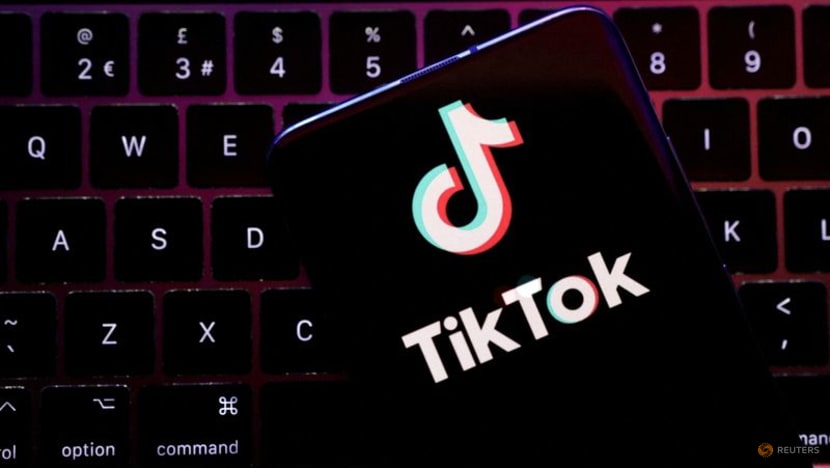 Will a potential US ban drive TikTok deeper into the arms of Southeast Asia? Will a potential US ban drive TikTok deeper into the arms of Southeast Asia?