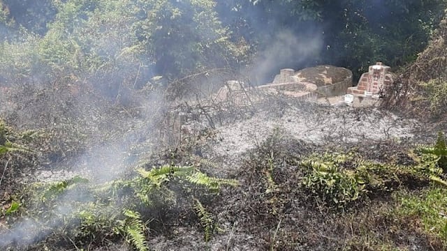 武吉布朗义山数起火患 环境局：清明扫墓注意安全