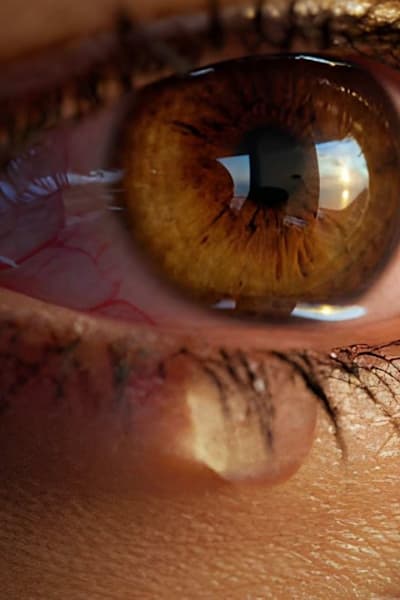 美国妈妈出售“眼泪”一瓶700多元 据称现已售出上百瓶