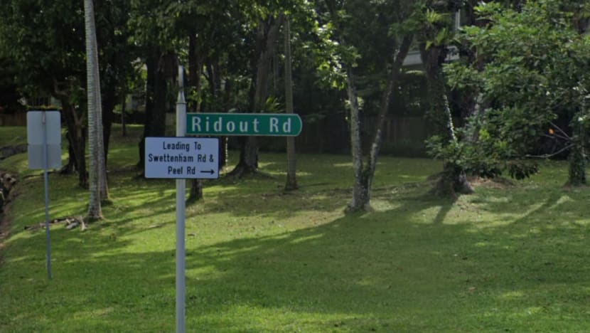 Shanmugam, Balakrishnan bid above 'guide rent' for Ridout Road state properties: SLA Shanmugam, Balakrishnan bid above 'guide rent' for Ridout Road state properties: SLA