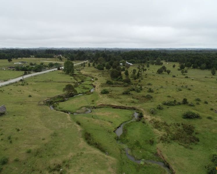 Study suggests younger age for Chile's important Monte Verde archaeological site