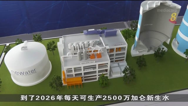 新生水面世至今已20年了