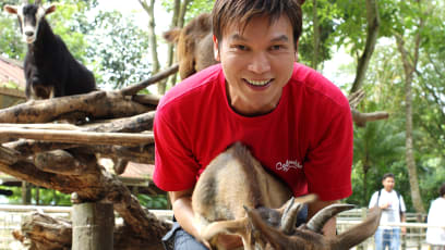 Where Did Xie Shaoguang Go To After Leaving Showbiz?