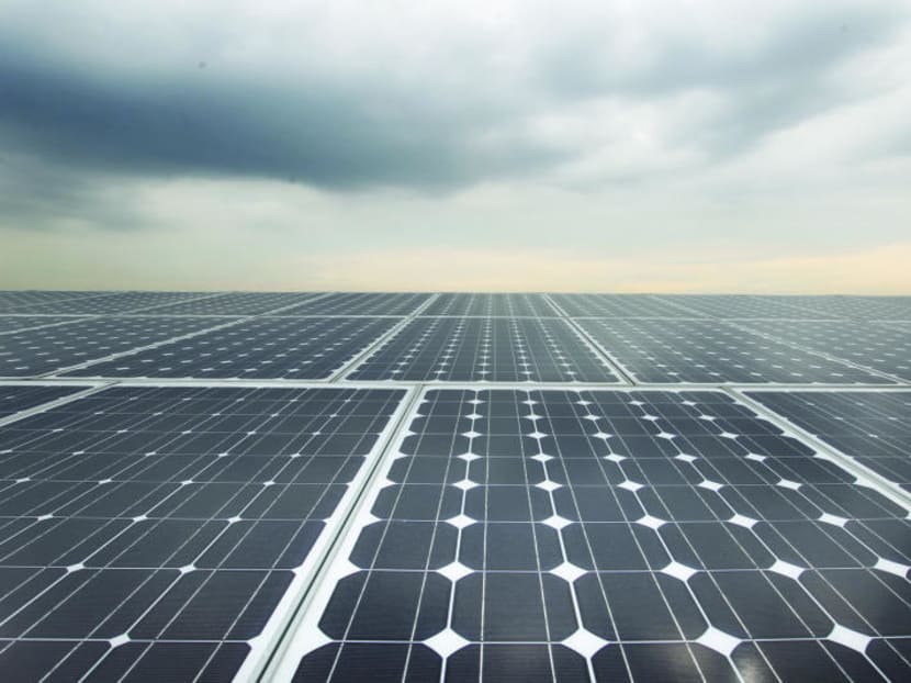 Solar panels at Treelodge@Punggol. Every sector in Singapore will need to put in significant effort to limit emissions, said Senior Minister Teo Chee Hean.