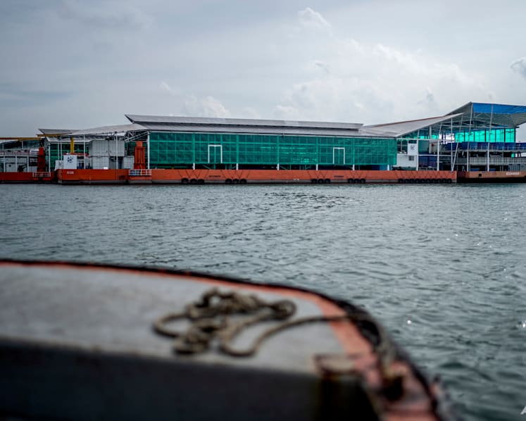 How does Singapore monitor radiation levels in water, land and air?