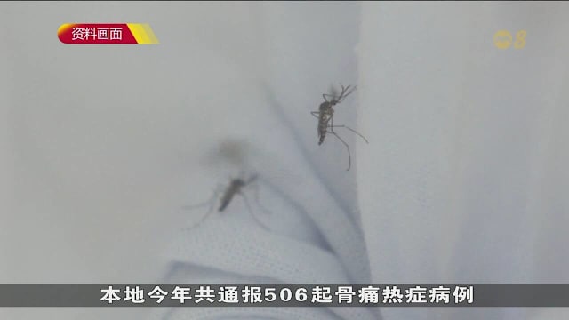 今年首季共通报410起骨痛热症病例 环比减近三成