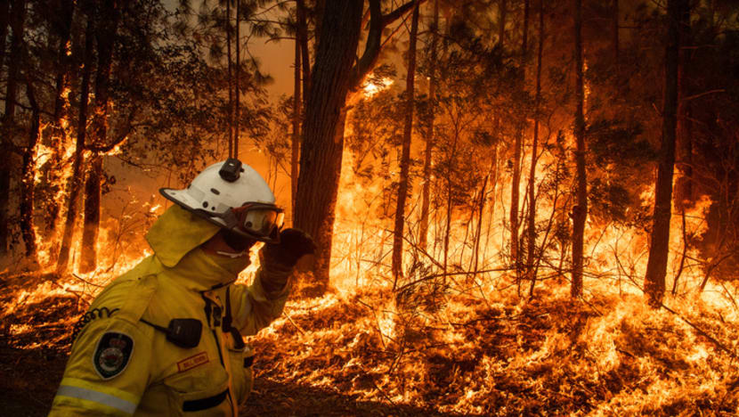 Explainer: Australia is on fire — how bad are the bushfires and what can Singaporeans do to help?