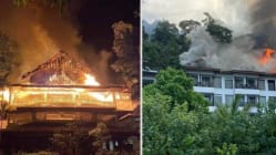 Related article image