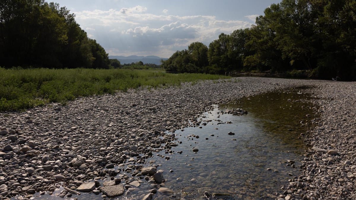 A rocky river flows through a green, wooded landscape under a cloudy sky.