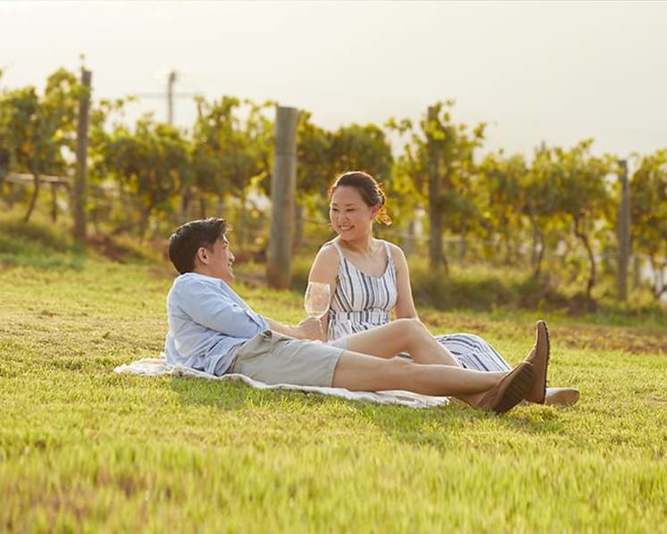  Your future road trip from Sydney: Exploring 6 famous wine regions in New South Wales