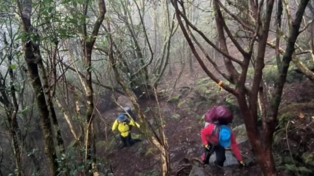登山高山症发作遭团友留下 台女独留山顶两天方获救