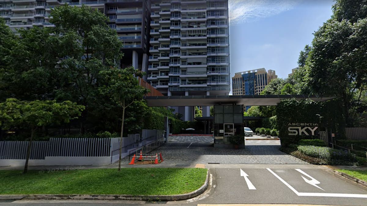 Man admits repeatedly trespassing into Redhill condo to steal bicycles, selling them on Carousell