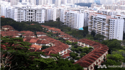 Related article image