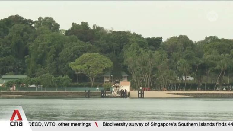 Singapore's Southern Islands are home to plants and animals not found anywhere else in the country, survey finds
