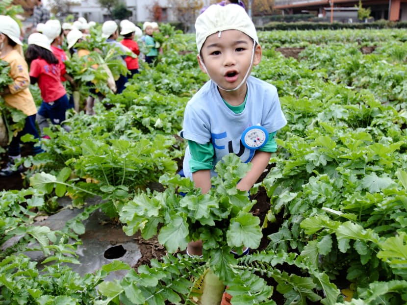In Japan’s pre-schools, children must play
