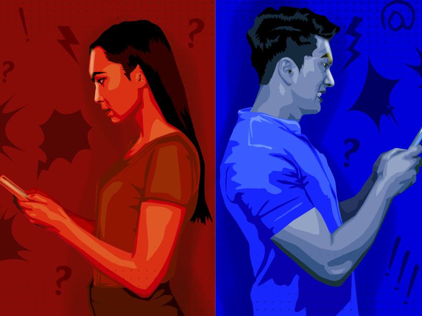 IN FOCUS: &lsquo;Boomer, snowflake, oppie, pappie&rsquo; - unpacking the growing social media polarisation in Singapore