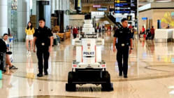 Related article image