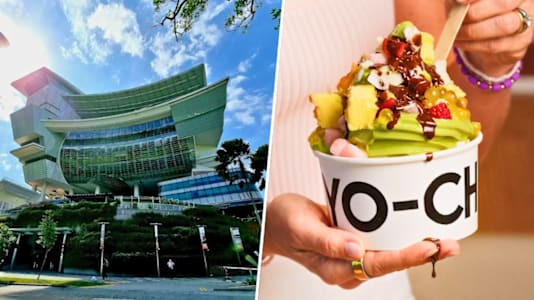 Wildly Popular Frozen Yoghurt Brand Yo-Chi Opens Second Outlet At Star Vista