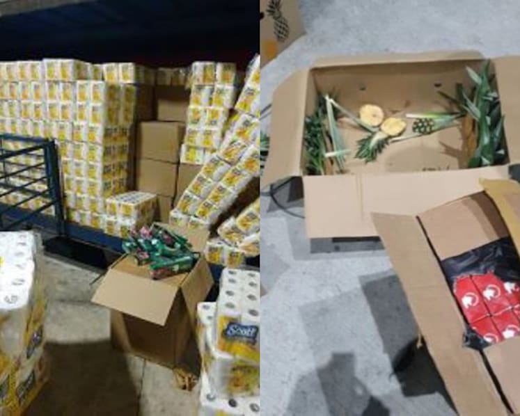 ICA seizes more than 7,500 cartons of duty-unpaid cigarettes hidden among tissue rolls, pineapples