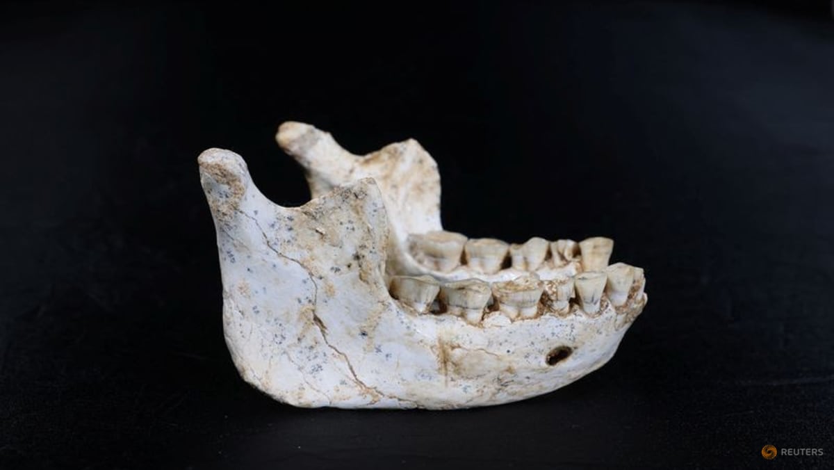 Fossils found in Moroccan cave may be a close Homo sapiens ancestor