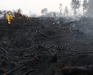 Rainfall aids fight against Belgium's biggest wildfire, as blazes rip through Europe
