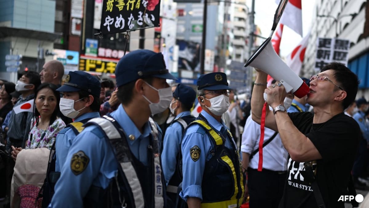 Japan campaigners urge review of tougher business visa rules