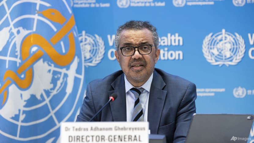 Commentary: Declaring monkeypox a global health emergency is a preventative step – not a reason for panic Commentary: Declaring monkeypox a global health emergency is a preventative step – not a reason for panic