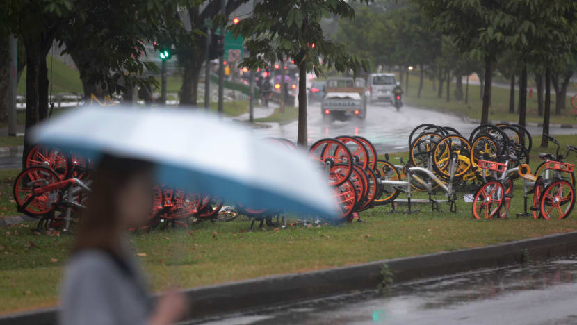 The Big Read: Big stick approach no panacea to errant bike parking
