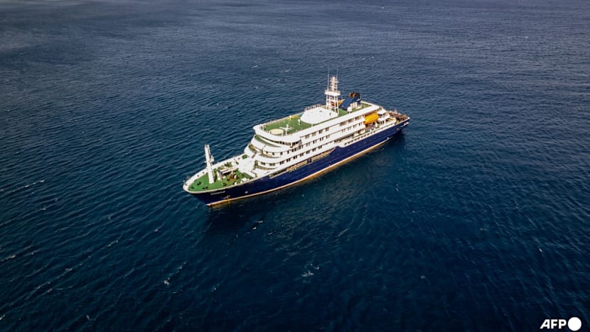 'Low' risk to public of hantavirus after cruise ship deaths, WHO says