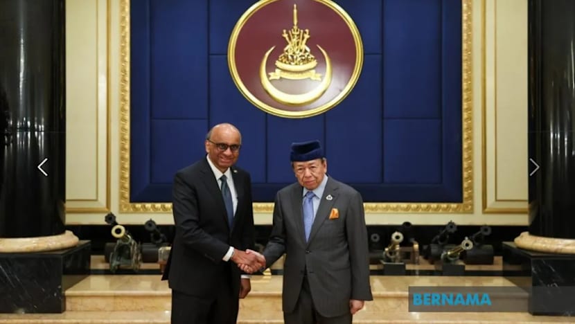  Presiden Tharman kunjungi Sultan Selangor di Istana Alam Shah