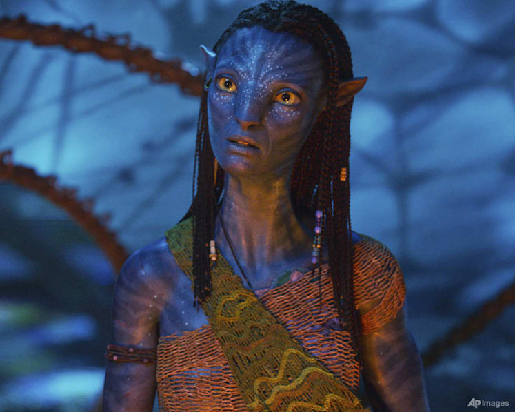 Avatar: Fire And Ash leads North American box office for fourth week