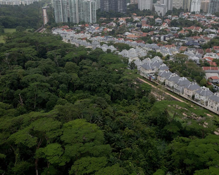 Public housing to be built on part of Dover Forest; rest to be kept as nature park for now: Desmond Lee
