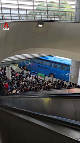 Second day of autogate issues at JB land checkpoint