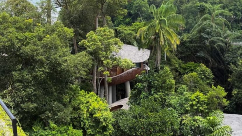 Related article image