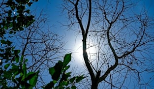 Perlis, sebahagian Kedah dan Perak alami gelombang haba Tahap 2