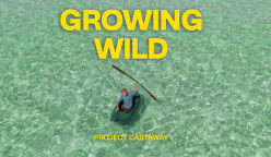Growing Wild