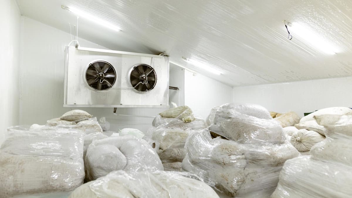 Singapore to tighten rules on refrigerants used in supermarkets, vehicles