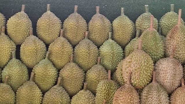 #sgdeals 昇菘超市推出3天中秋优惠　猫山王榴梿1kg仅售$8!