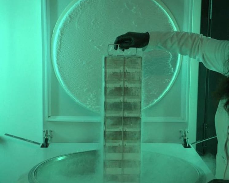 US to create genomic and cellular 'BioVault' for endangered species