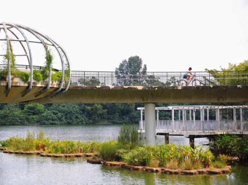 Biophilic design key to making Singapore a city in a garden