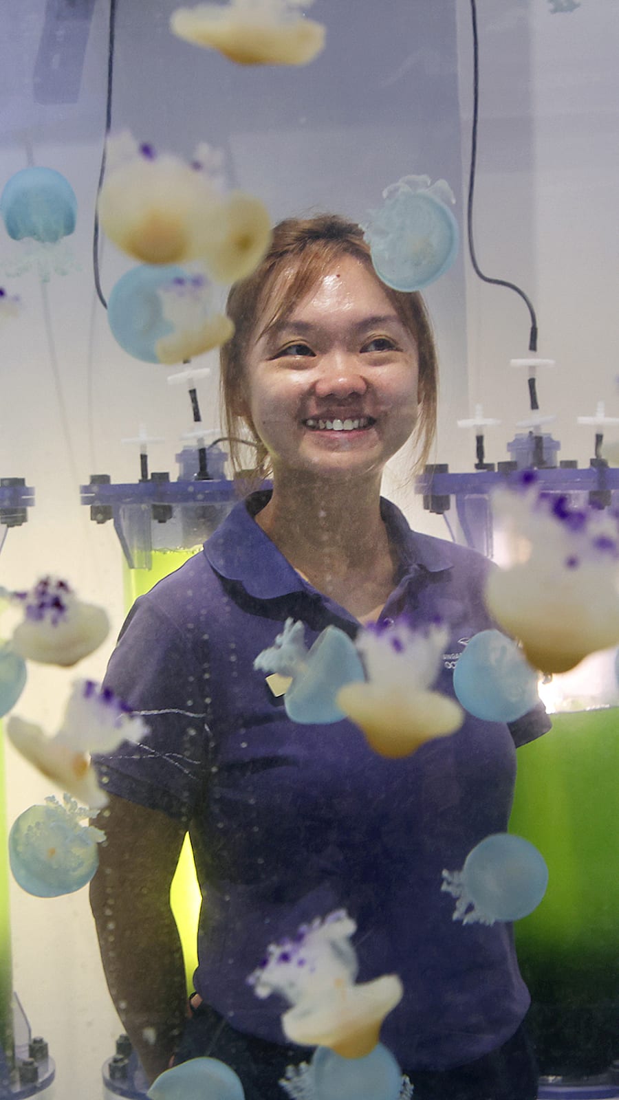 An underwater revelation led this Singaporean to quit a safe retailing career to nurture sea jellies