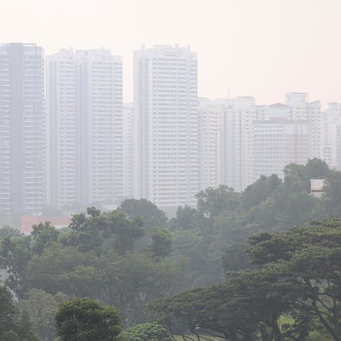 环境局再向十家本地注册公司发通知