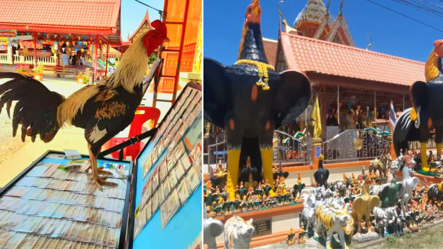 选中的彩票会中奖！泰寺庙“吉祥物”失踪