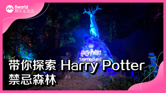 带你探索Harry Potter禁忌森林