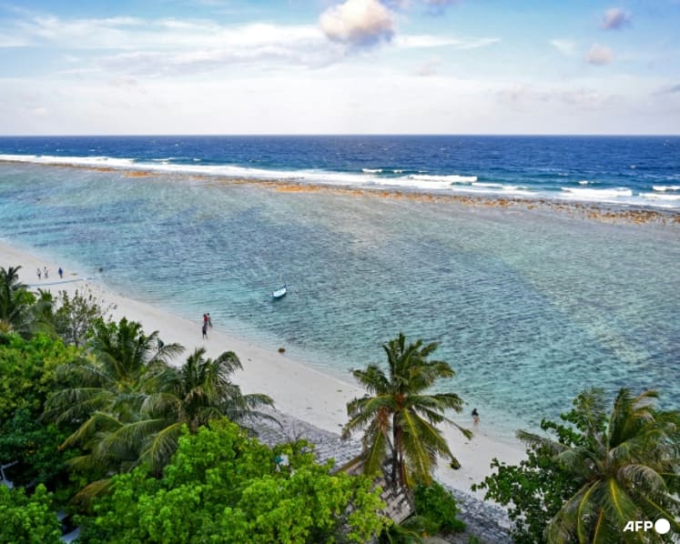 Smaller fish, bleached corals: Maldives hit by several threats from climate change