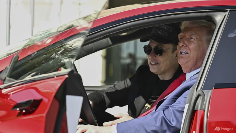 ‘Nothing to do with Elon’: More Teslas hit the road in Singapore despite CEO Musk’s political controversies